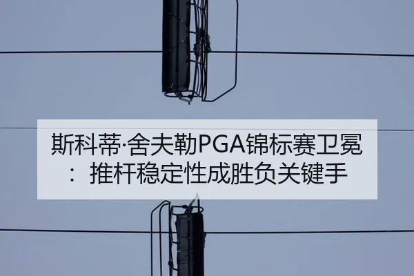 si-ke-di-she-fu-lei-jin-biao-sai-wei-mian-tui-gan-wen-ding-xing-cheng-sheng-fu-guan-jian-shou-2-279.jpg